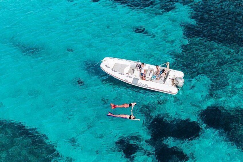 Golfo Aranci Dolphin Watching Tour with Biologist and 2 bath stops 1