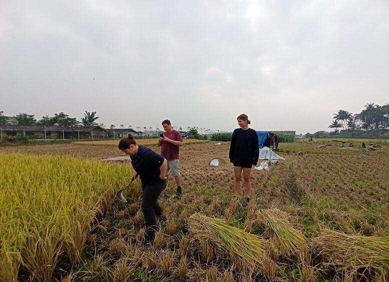 Picture 17 for Activity Bandung: Private Guide Follow Your Itinerary 4