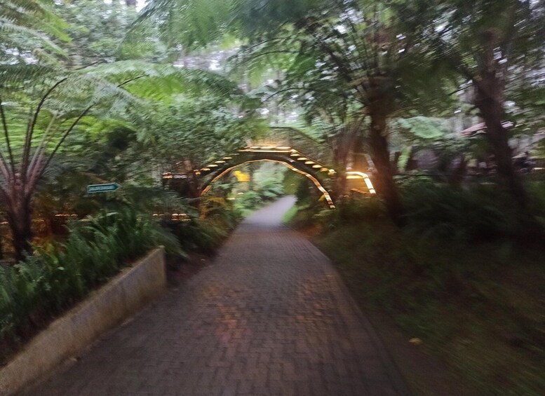 Picture 34 for Activity Bandung: Private Guide Follow Your Itinerary 5