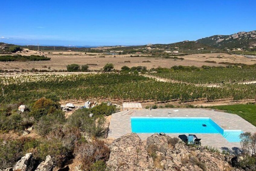 Wine tasting in Gallura with typical products 4