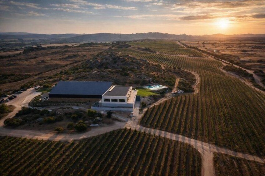 Wine tasting in Gallura with typical products 1