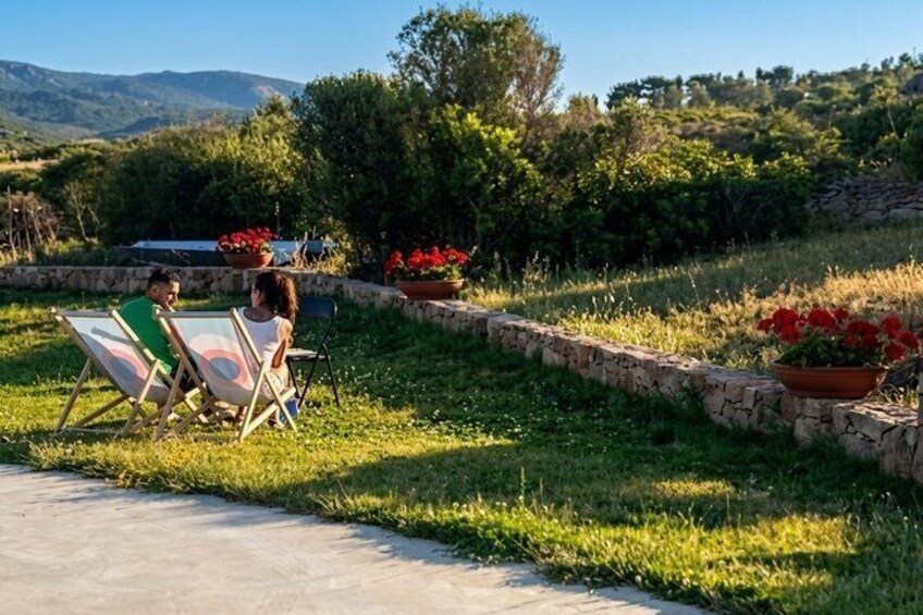 Wine tasting in Gallura with typical products 3