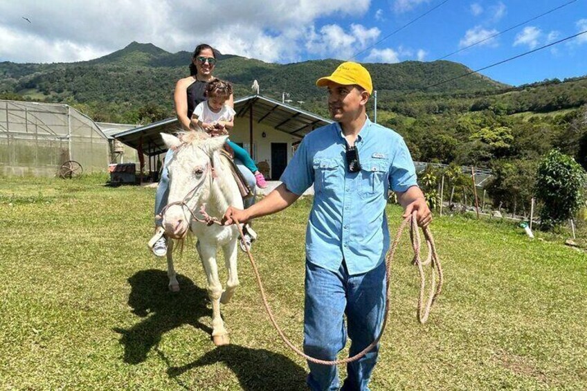 Fun Adventure at Finca CreaDora Cafe and Animals and Hiking 1