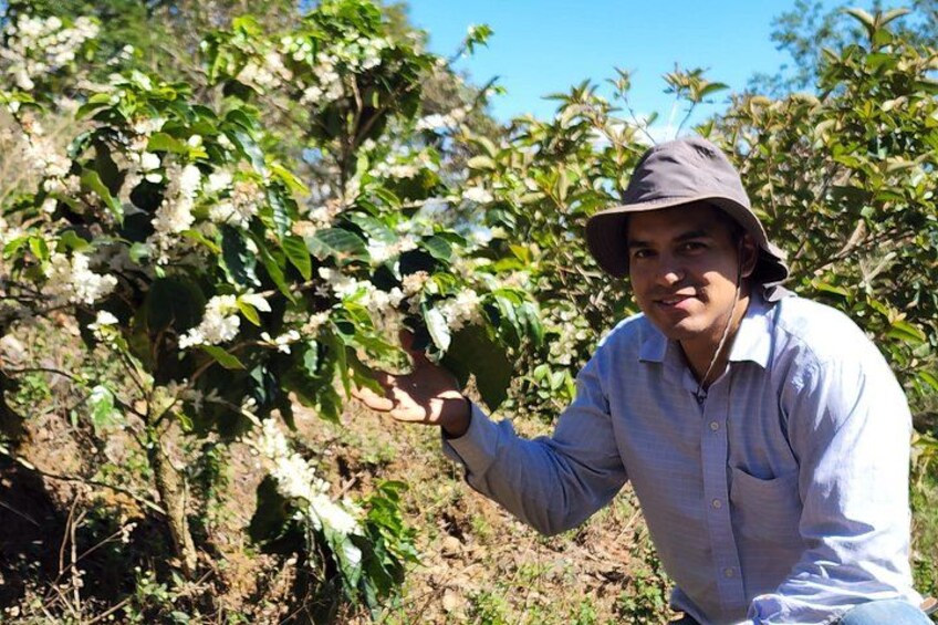 Fun Adventure at Finca CreaDora Cafe and Animals and Hiking 3