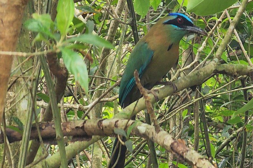 Fun Adventure at Finca CreaDora Cafe and Animals and Hiking 4