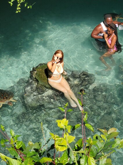 Picture 18 for Activity Zanzibar: Mnemba Dolphins, Jozani forest & Sea turtles tour 3
