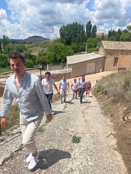Picture 19 for Activity From Madrid: Cooking Class by a Castle in the Olive Groves 5