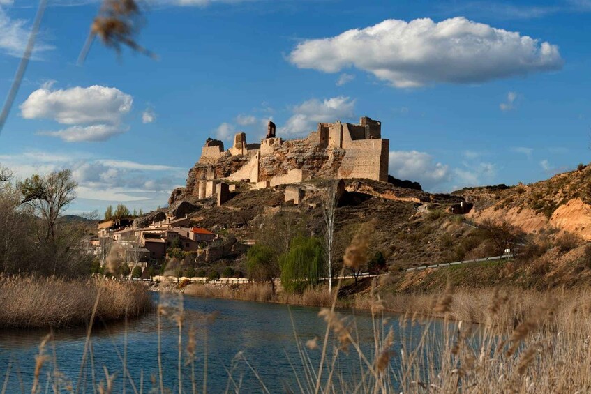 From Madrid: Cooking Class by a Castle in the Olive Groves 1