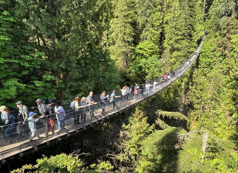 A suspension bridge in a forest. 5