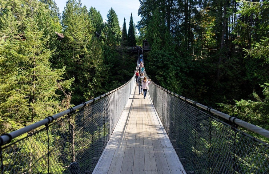 A suspension bridge surrounded by dense forest. 1