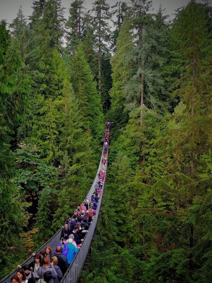 Picture 7 for Activity Vancouver: Capilano Bridge & Grouse Mountain All Inclusive 4