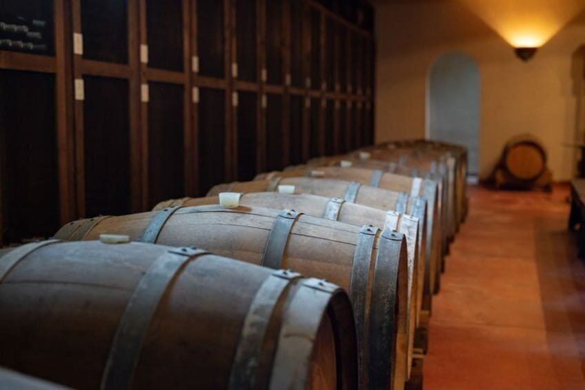 Toscana Wine Tasting Experience at Villa La Selva 4