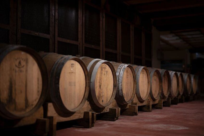 Toscana Wine Tasting Experience at Villa La Selva 5