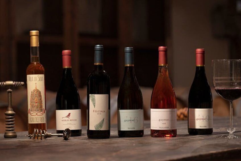 Toscana Wine Tasting Experience at Villa La Selva 2