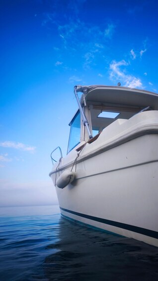 Picture 9 for Activity Bar: Hidden Beaches Boat Tour with Local Wine & Meze 2