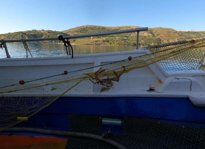 A fishing net on a boat with a mountainous landscape in the background. 4
