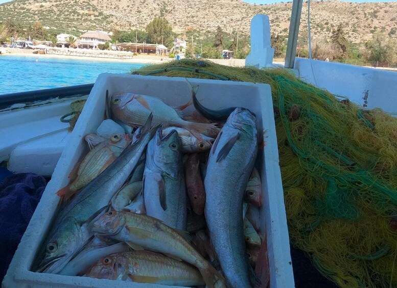 A boat with a box of fish and fishing nets. 3