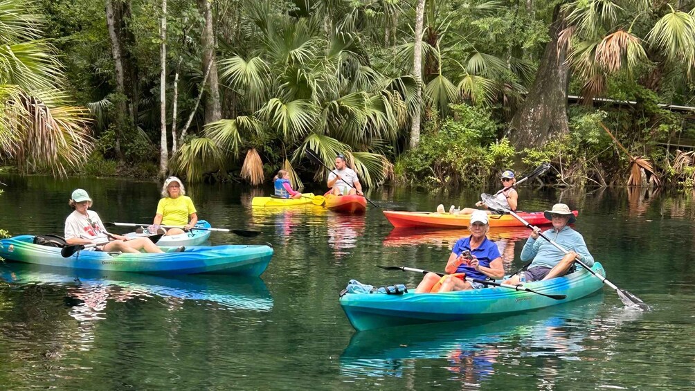 Picture 6 for Activity Silver Springs: Kayak or SUP Rental with Shuttle 5