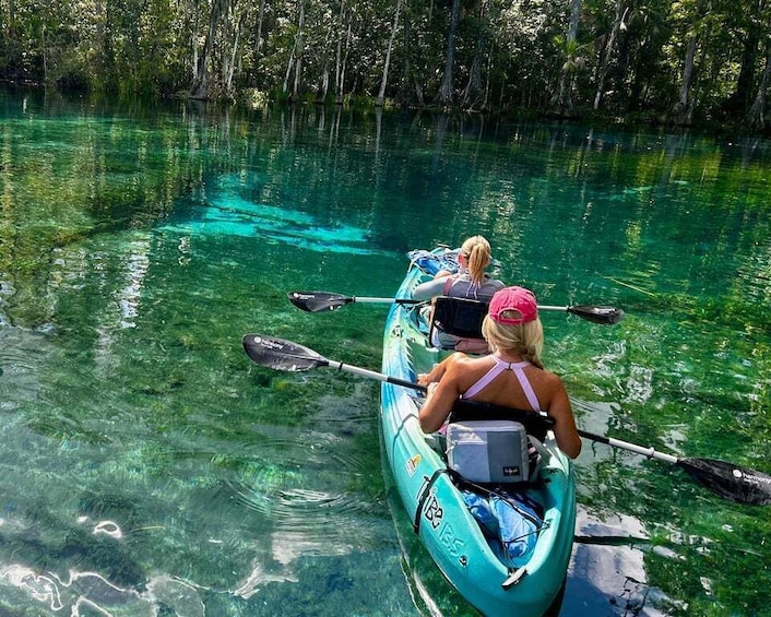 Picture 7 for Activity Silver Springs: Kayak or SUP Rental with Shuttle 4