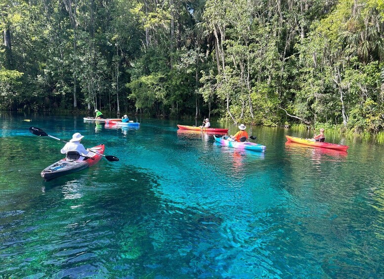 Picture 5 for Activity Silver Springs: Kayak or SUP Rental with Shuttle 2