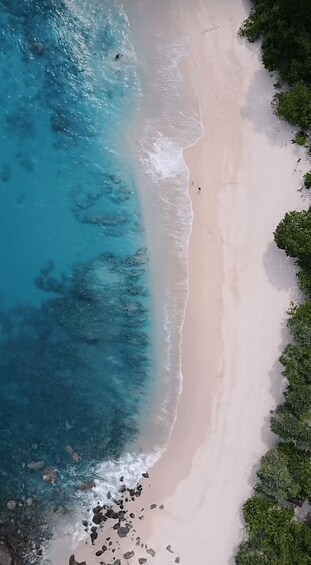 Picture 4 for Activity Banyuwangi: Sukamade and Green Bay 2-Day Tour 3