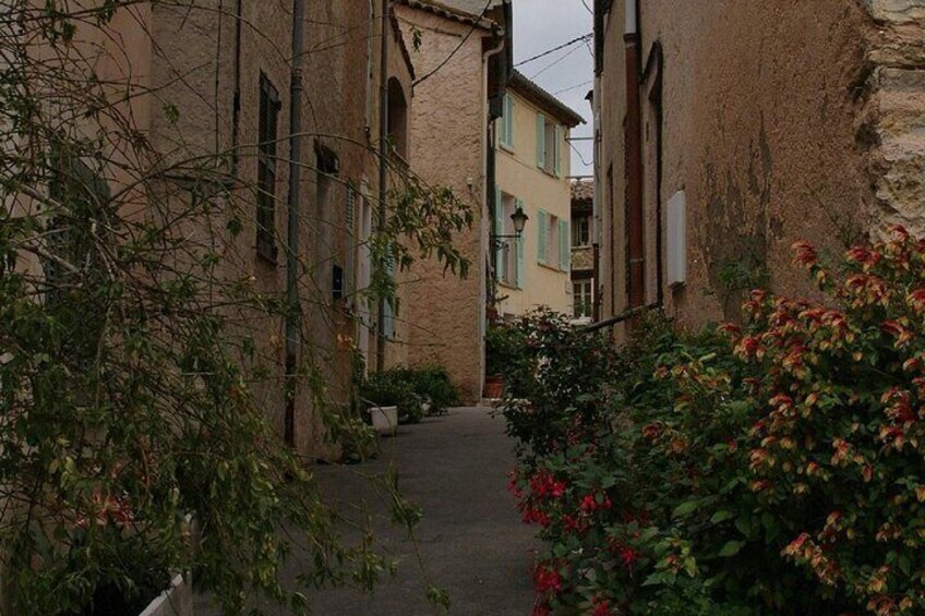 Provence Countryside and Grasse Perfume Tour from Nice 5