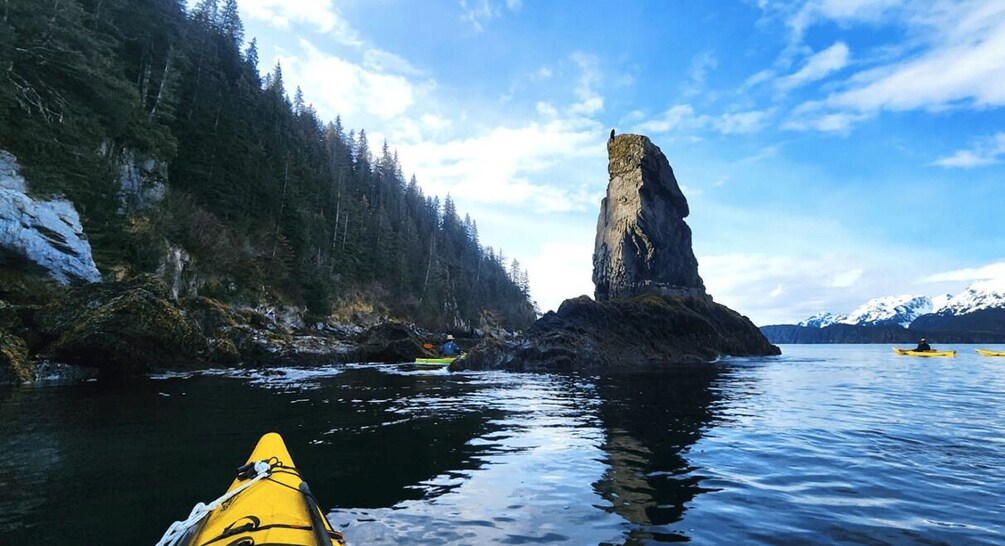 Picture 1 for Activity Seward: Kayak to Bridal Veil Falls with Lunch 4