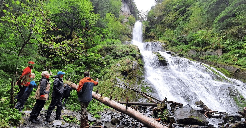 Picture 2 for Activity Seward: Kayak to Bridal Veil Falls with Lunch 3