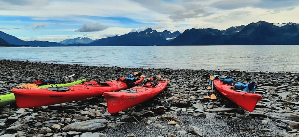 Picture 3 for Activity Seward: Kayak to Bridal Veil Falls with Lunch 2