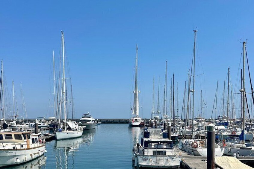 Cascais Private Atlantic Escape with Swimming Snorkeling & Drinks 3