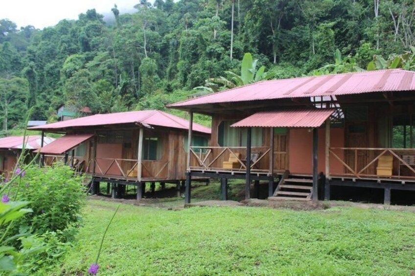 Manu National Park an encounter with nature 2