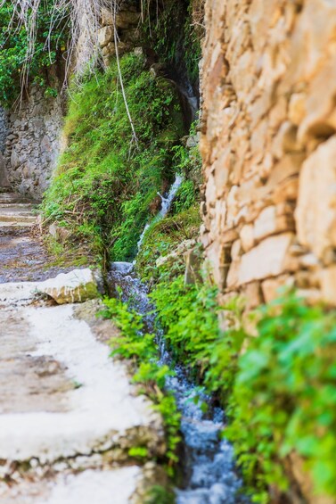 A narrow stream flowing through a rocky gorge with moss-covered walls and a stone pathway. 1