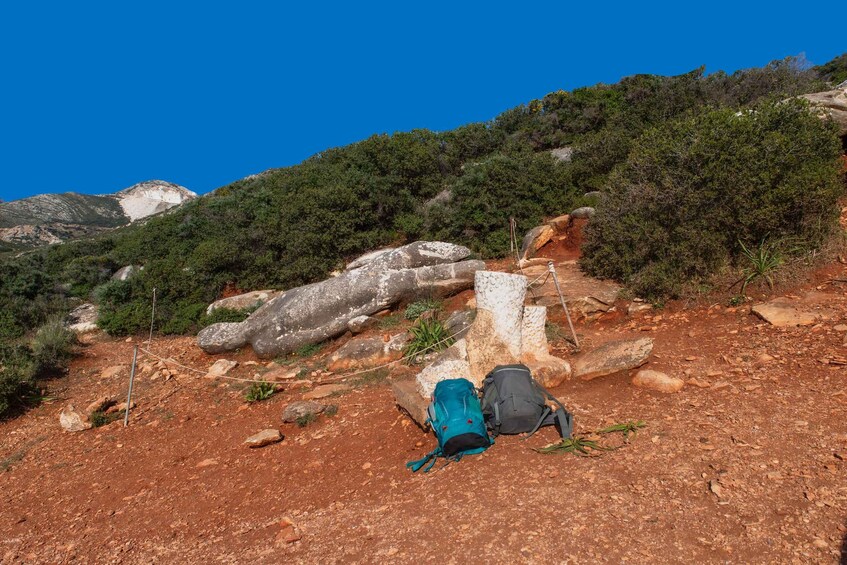 A hiking trail with backpacks and a tree stump. 4
