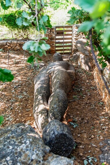 A stone wall with a wooden gate, surrounded by a dirt path and greenery. 3