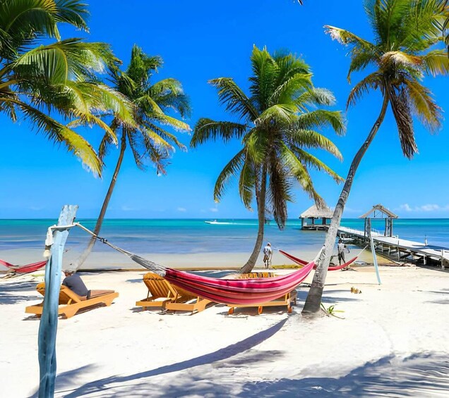 A beach with palm trees, a hammock, and a wooden dock. 1