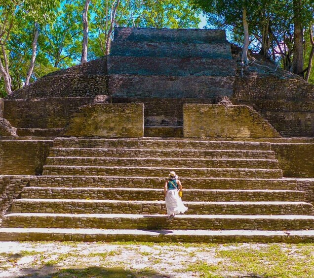A person descending ancient stone steps with a pyramid in the background. 3