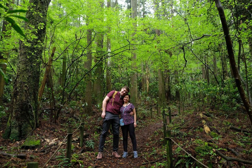 Hakone Hachiri: Old Tokaido Highway Hiking Half-day tour 1