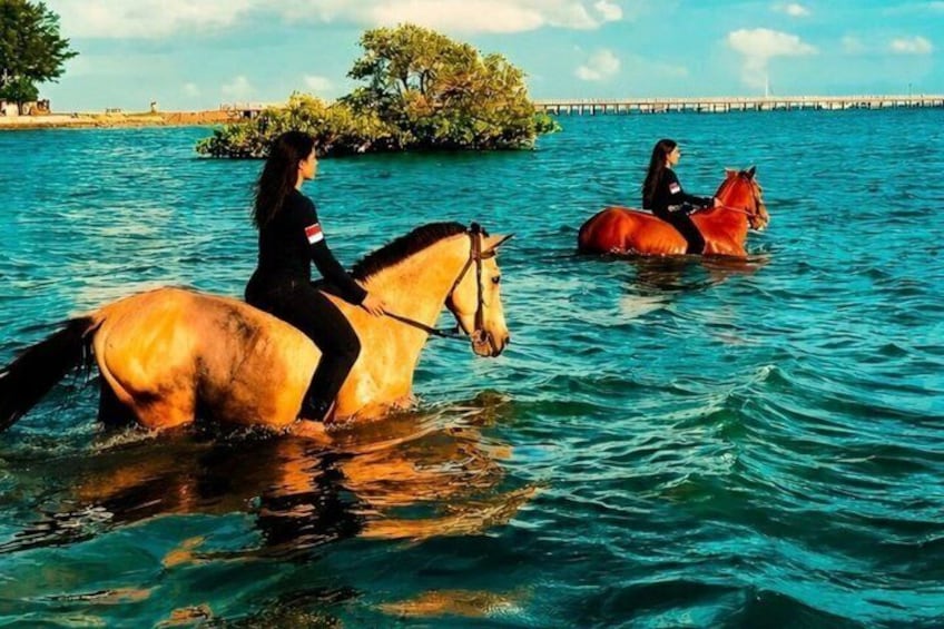 Bali Horseback Riding in the Sea at Mertasari Beach 1