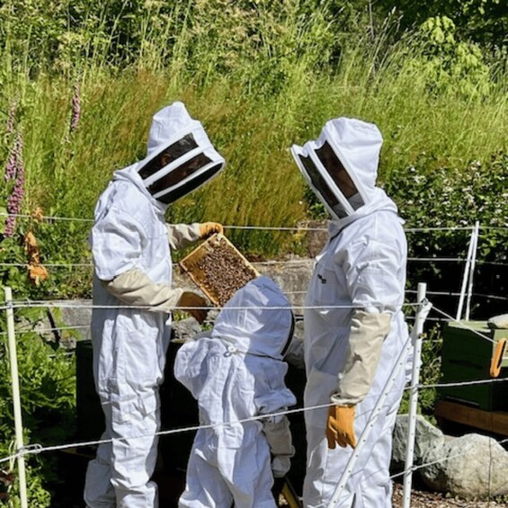 Two individuals in protective suits examining a beehive. 5