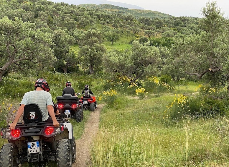 Three people riding ATVs on a dirt path through a green landscape with trees and yellow flowers. 1
