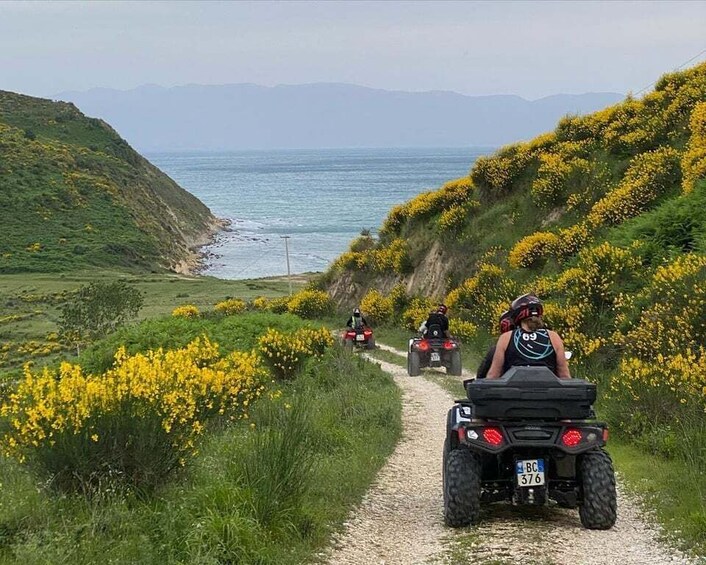 A dirt path with yellow flowers, a coastal view, and people riding ATVs. 2