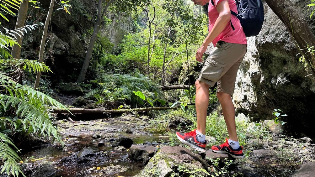 Picture 5 for Activity Teno Waterfalls Hiking Tour: Tropical Jungle Adventure 2