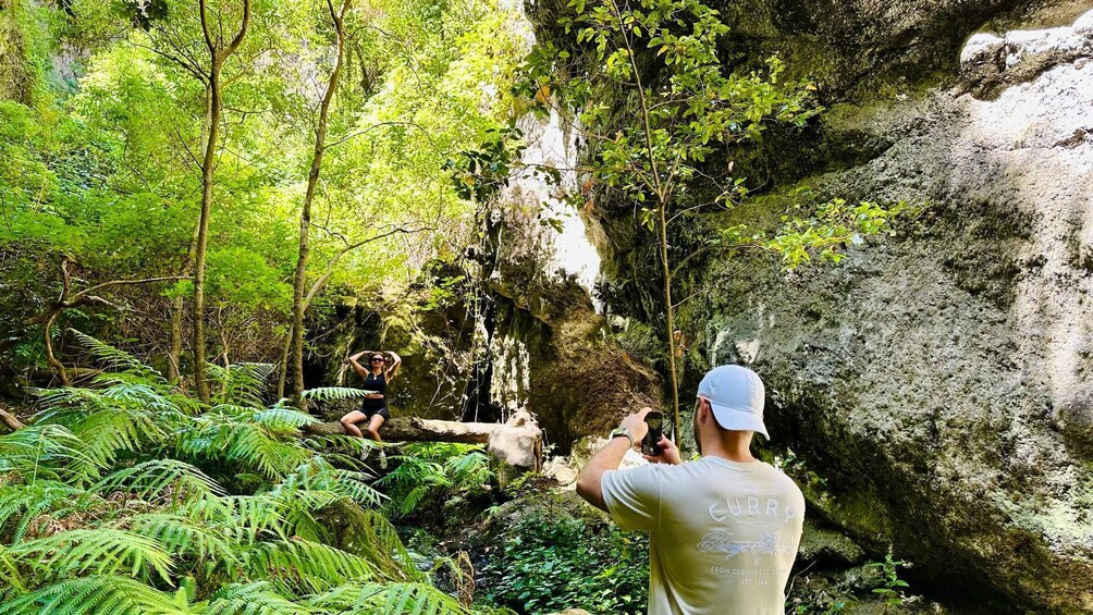 Picture 17 for Activity Teno Waterfalls Hiking Tour: Tropical Jungle Adventure 4