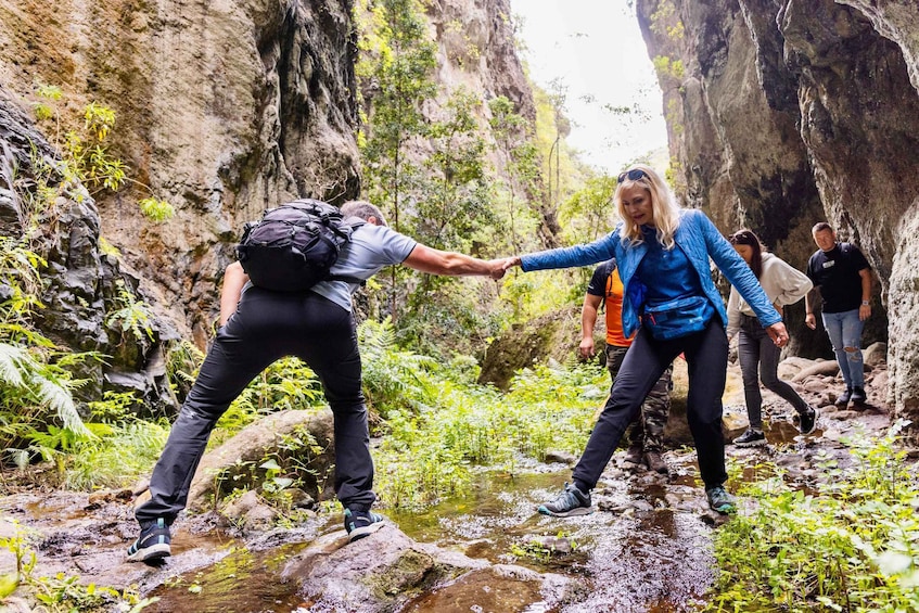 Teno Waterfalls Hiking Tour: Tropical Jungle Adventure 1