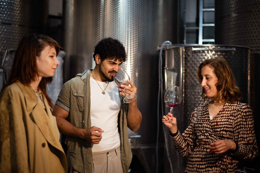 Picture 27 for Activity Armenia: Wine Tasting and Vineyard Lunch at Voskeni Winery 2