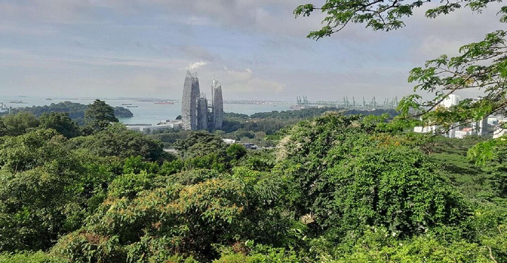Picture 2 for Activity Singapore: Private Full-Day Island Tour 3