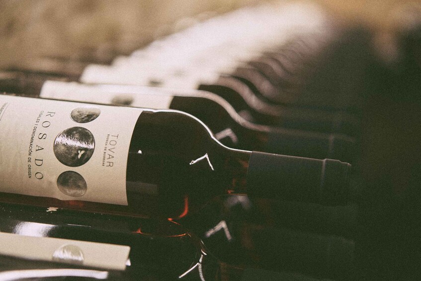 Valladolid: Tovar Wine Cellar Tour with Tasting 1
