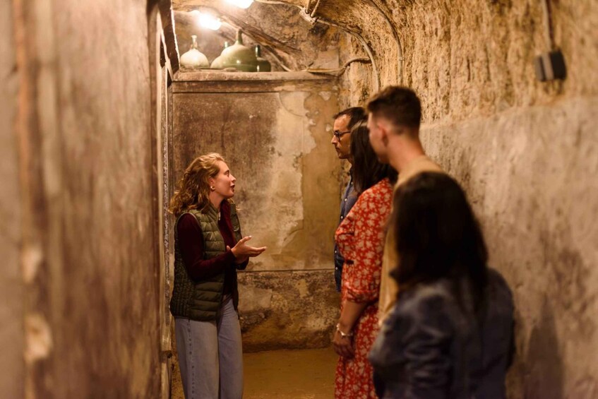 Picture 2 for Activity Valladolid: Tovar Wine Cellar Tour with Tasting 2