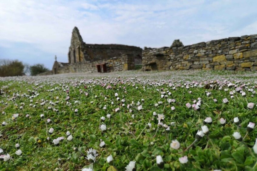 Picture 6 for Activity Kilrush: Scattery Island Guided Walking Tour 5
