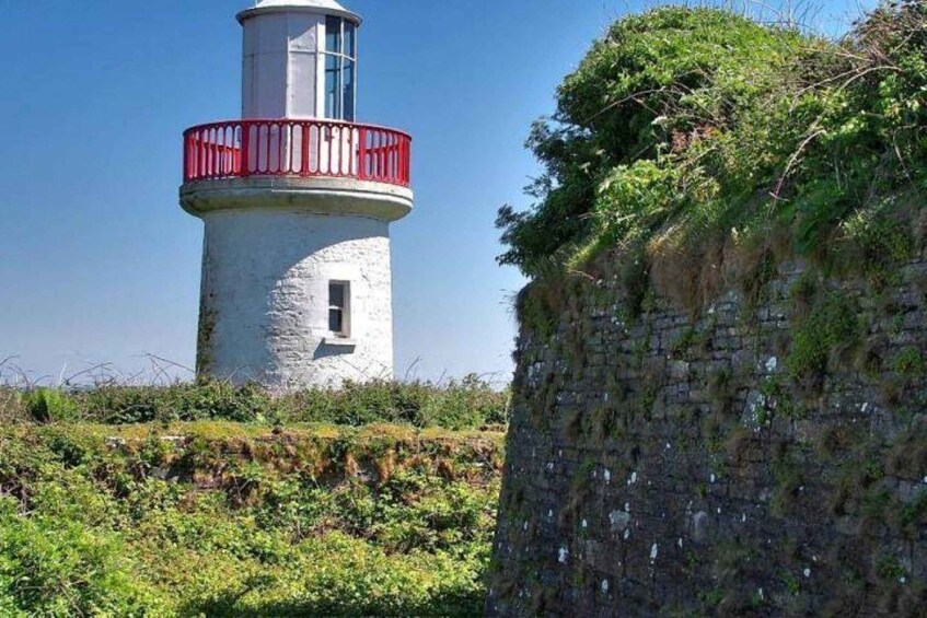 Picture 4 for Activity Kilrush: Scattery Island Guided Walking Tour 4